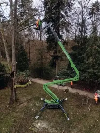 Avant Leguan 265 karos emelő kép 9