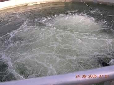 Tsurumi 50TRN42.2 japán csúcsminőség merülő levegőztető szivattyú 8